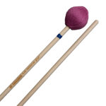 Salyers ML2 Matthew Lau