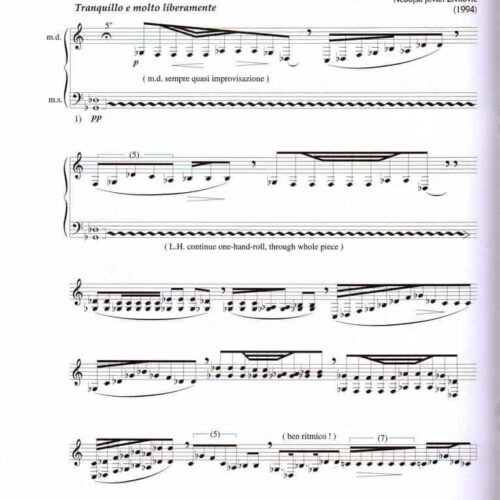 Les Violons Morts by Nebojsa Zivkovic