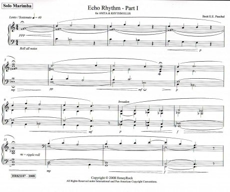 Echo Rhythm