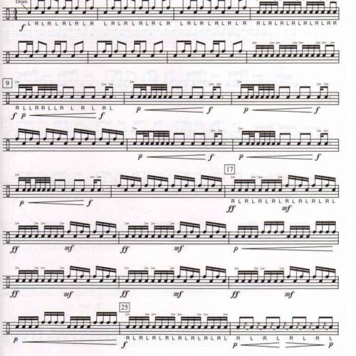 Snare and Rim