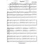 The Mexican Marimba arr. Terry Baldridge