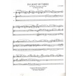 In Light Of Three by J B Smith