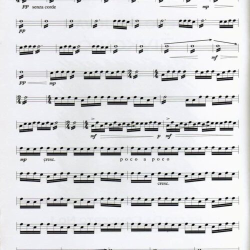 Pezzo Da Concerto No. 1 by Nebojsa Zivkovic