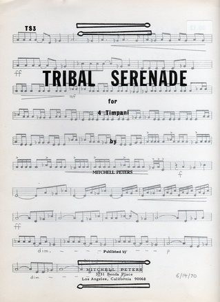 Tribal Serenade by Mitchell Peters