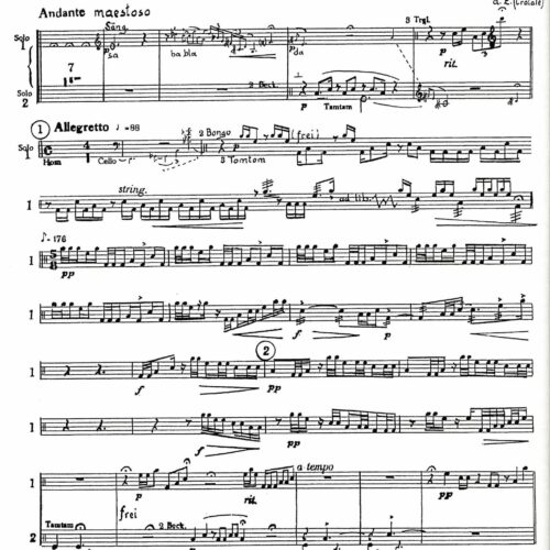 Der Paukenkrieg (Batrachomuomachia) op. 55
