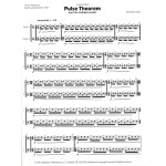 Pulse Theorem by Benjamin Finley