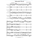 Splendid Wood