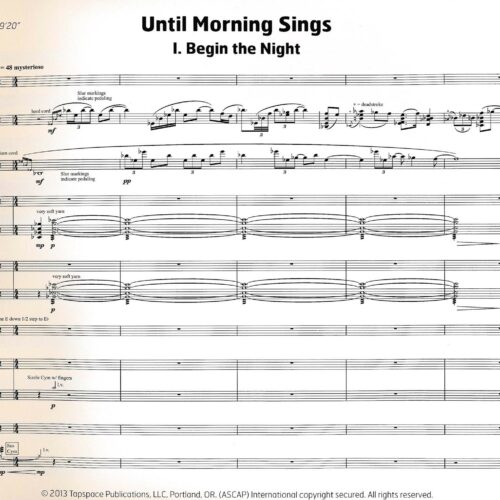 Until Morning Sings by David Reeves