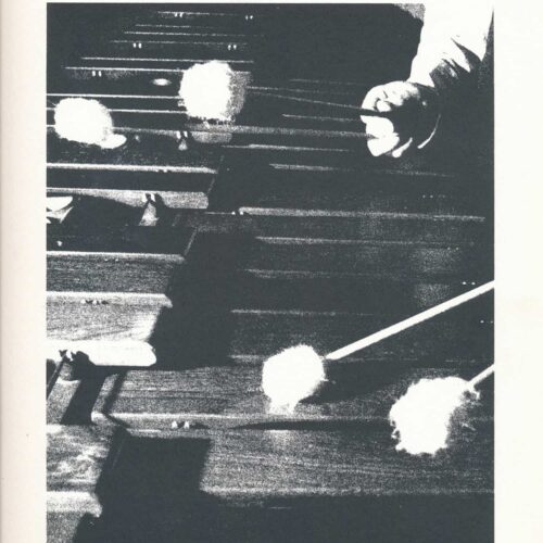 Selections From The Album For The Young, Opus 68  Volume Ii
