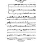 Antique Sonata by Richard Freeman-Toole
