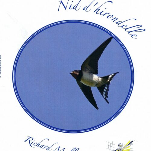 Nid D'hirondelle by Richard Muller