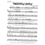 Paradiddle Riddle by Danny Raymond