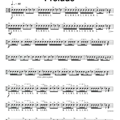 Concert Suite for Snare Drum