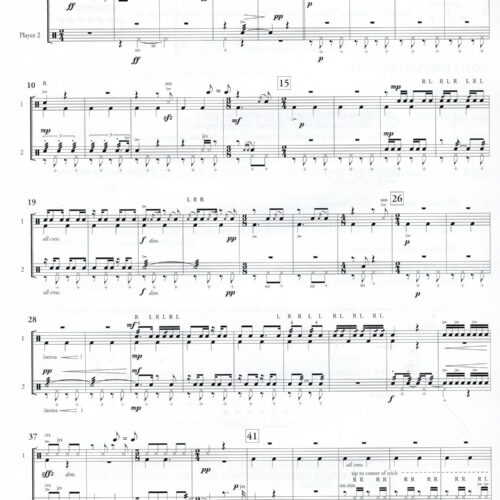 Recital Duo by Dan Knipple