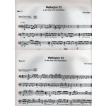 Wellington 22 - A Jazz Duet With Improvisation