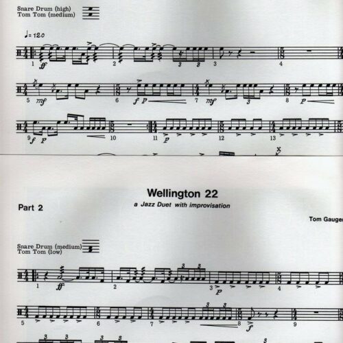 Wellington 22 - A Jazz Duet With Improvisation