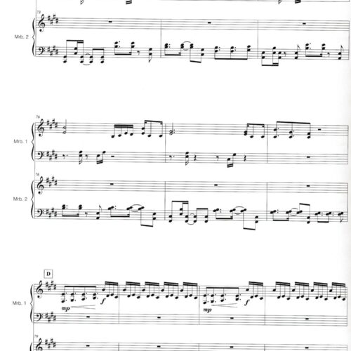 Catching Shadows (ensemble version) by Ivan Trevino