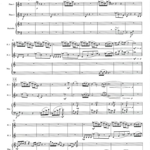 Trio for Two Flutes & Marimba by Marco Schirripa