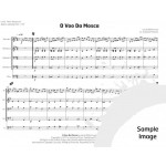O Voo Da Mosca by Bittencourt arr. Stephen Primatic