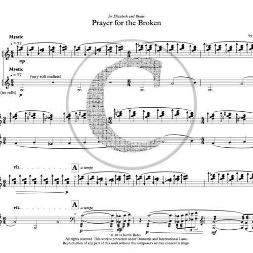 Prayer for the Broken