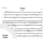 Friction by Brian Blume