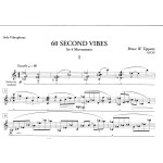 60 Second Vibes by Bruce Tippette