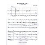 Volcan De Fuego by Francisco Perez