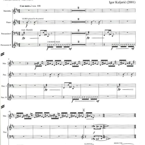 Concerto for Ivana (chamber ensemble version)
