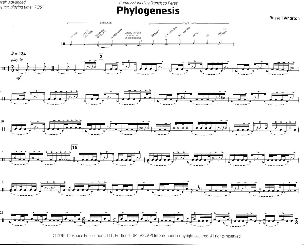 Phylogenesis by Russell Wharton