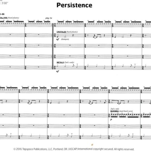 Persistence by Brian Blume