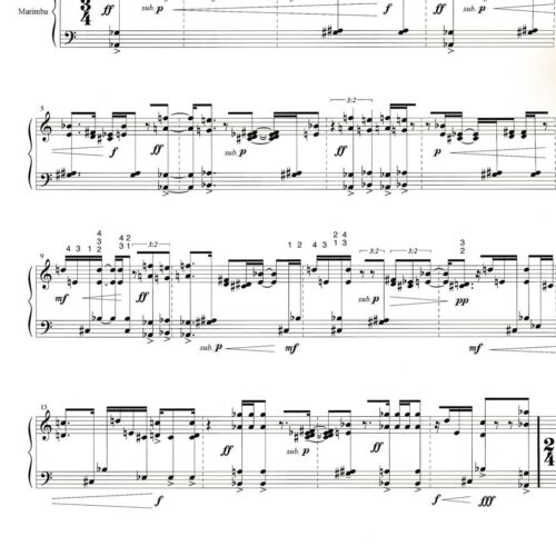 Seven Etudes and A Question by Brett William Dietz