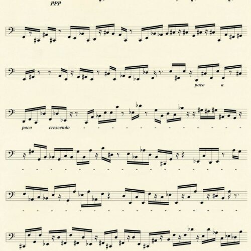 Solo pour Grand Marimba by Michele Reverdy
