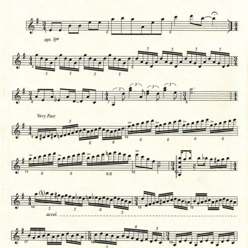 Spanish Fly by Halen arr. Andy Harnsberger