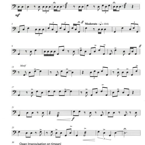 These Drums Also Waltzes by Greg Holloway