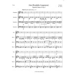 Jota (Rondalla Argonesa) - Spanish Dance no. 6 op.5 by Granados arr. Don Larsen