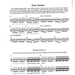 Latin-Percussion Handbook by Donald Skoog