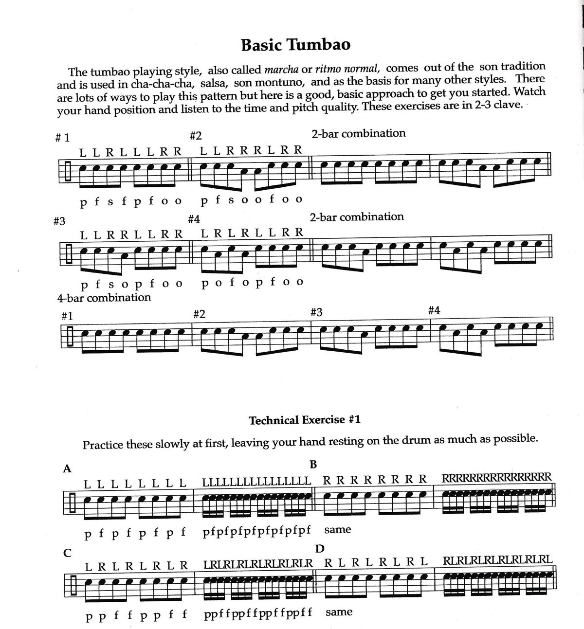 Latin-Percussion Handbook by Donald Skoog