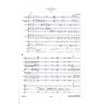 Double-Concerto for Marimba, Vibes and Percussion Ensemble by Emmanuel Sejourne