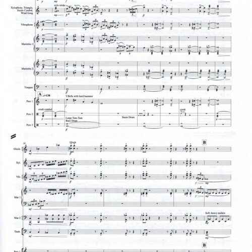 Double-Concerto for Marimba, Vibes and Percussion Ensemble by Emmanuel Sejourne
