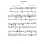 I gabbiani by Claudio Santangelo