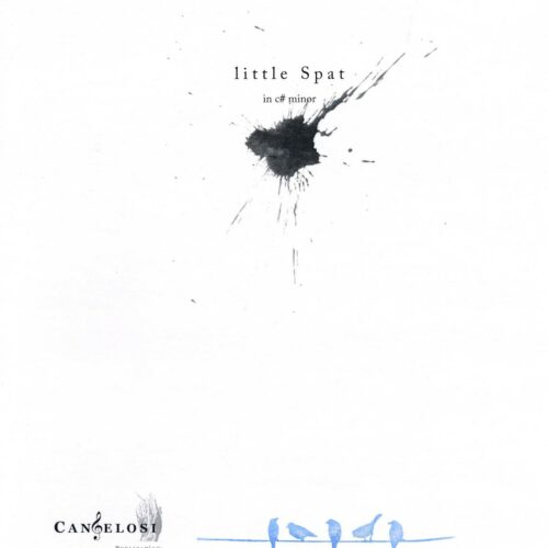 Little Spat in C Sharp Minor by Casey Cangelosi