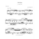 Little Spat in C Sharp Minor by Casey Cangelosi