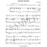 Poison Water by Sam Adams