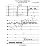 Tantango Dongo by Christopher Fellinger