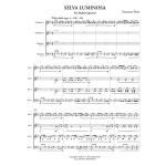 Selva Luminosa by Francisco Perez