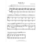 5 Etudes for Timpani and Piano (vol. 1) by Fredrik Duvling