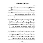 Fusion Mallets by Eckhard Kopetzki