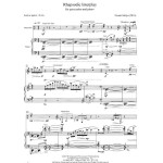 Rhapsodic Interplay by Naomi Sekiya