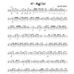 Rhythms of Music by Scott Johnson