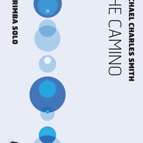 The Camino by Michael Charles Smith